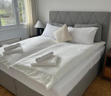 Montreux Apartment | Stunning apartment with lake view