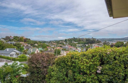 Dunedin House | Stunning Family Home in Andersons Bay