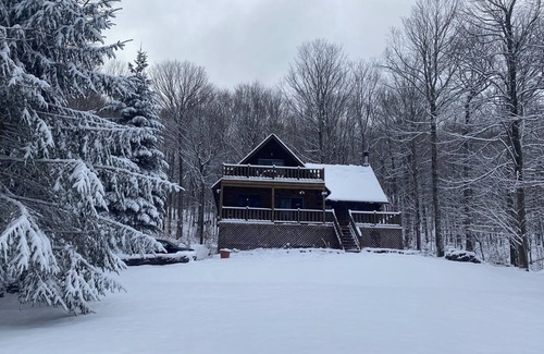 Roscoe Cabin | Stunning Log Cabin Lakehouse with/fireplace - steps from lake!