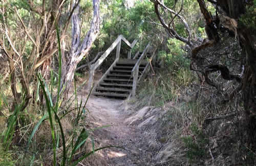 Cape Paterson House | STUNNING Ocean views,quiet location, newly renovated/Central Cape Paterson/Wifi