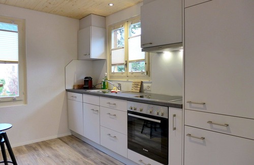 Interlaken House | Stunning private villa for 5 guests with WIFI, TV, patio, pets allowed and panoramic view