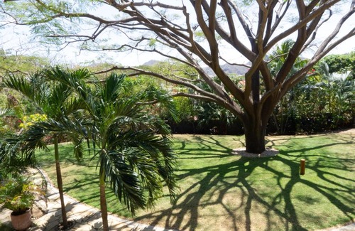 San Juan del Sur Apartment | Stunning Studio Suite - AC, Walk to Town and Beach