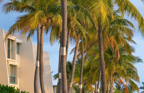 Estate Golden Rock Condo | Stunningly Beautiful - Theatre at Sugar Beach 2 (08)