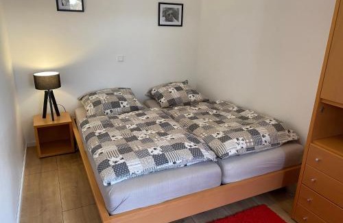 Stryck Apartment | Stylisches Apartment ✰ SKYWALK ✰ mit Parkplatz