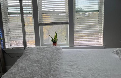 Piedmont Heights Apartment | Stylish 2 bedroom 2 bath with balcony. (420)