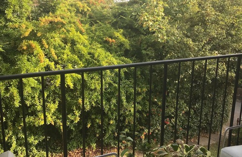 Perry Vale Apartment | Stylish 2-bedroom flat in leafy Forest Hill