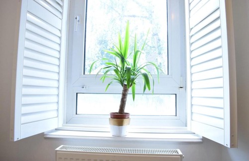 Belsize Park Apartment | Stylish Central London 1 Bedroom Apartment in Belsize Park