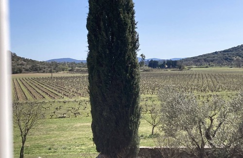 Brissac Apartment | Stylish duplex within an award-winning vineyard; shared pool; great location