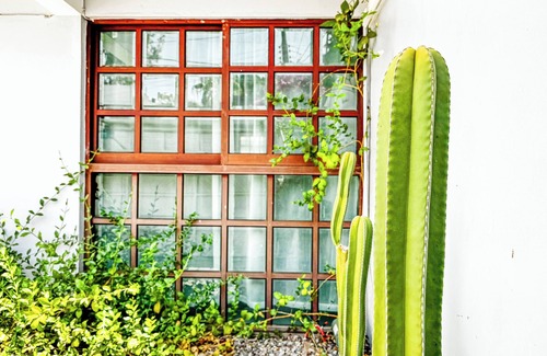 Reforma House | Stylish family boutique house, 10 minutes from downtown Oaxaca.