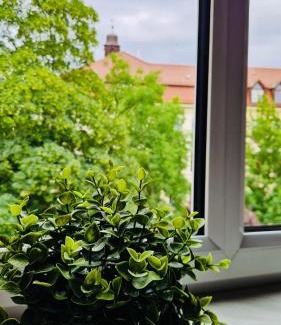 Lindenau Apartment | Stylish & sunny Apt near River