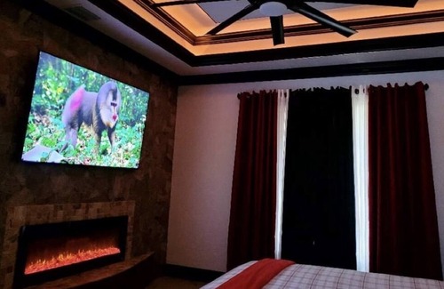 Poinciana House | Stylish temporary home !!!