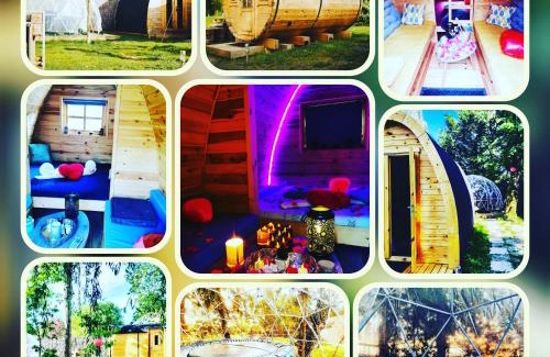 Pruniers-en-Sologne Other | sublime tonneau avec spa sous bulle privatif