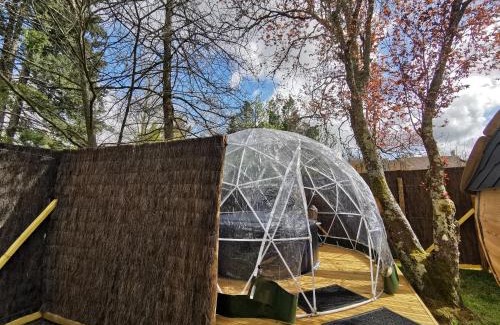 Pruniers-en-Sologne Other | sublime tonneau avec spa sous bulle privatif
