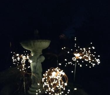 Bonython Bed & Breakfast | Suburbia tranquility