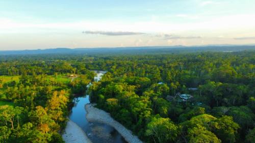 Misahualli Cabin | Suchipakari Amazon Eco -Lodge & Jungle Reserve