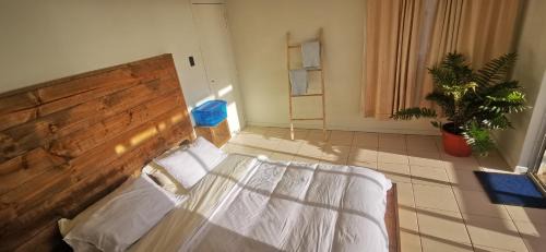 Pichilemu Hostel | Sudeste Hostel