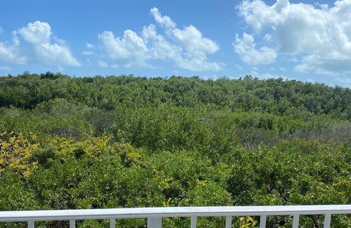 Tavernier Condo | Sugar Cane - Florida Keys tropical retreat. Newly renovated!
