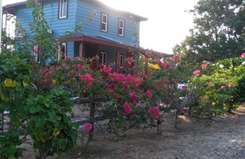 Hopkins House | Sugar Patch Inn