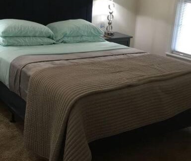 Charlotte Apartment | Suite 6, Sleep 4, Walk to Attractions in Uptown