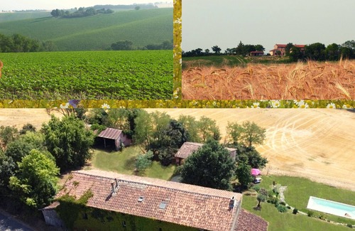 Gibel Apartment | Suite (75 m2), private garden and swimming pool, fitness room. In nature.