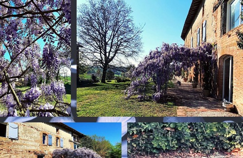 Gibel Apartment | Suite (75 m2), private garden and swimming pool, fitness room. In nature.