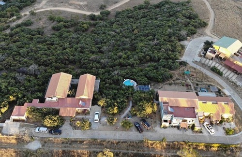 Oaxaca House | Suite Arbolada: sleep in the forrest with direct access to the pool