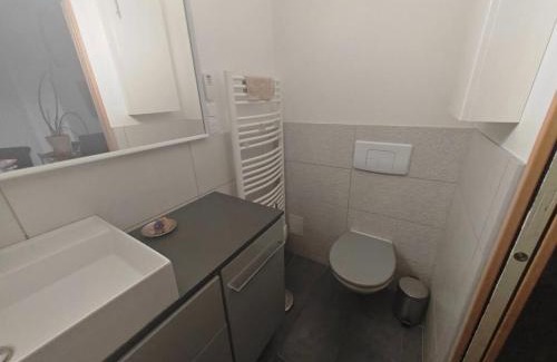 Pin - Vert Galant House | Suite avec parking 24h du mans