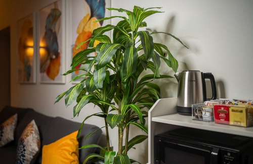 Porta Volta Apartment | [Suite Elegance Brera].