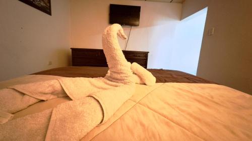 Cuenca House | Suite independiente con cocina equipada