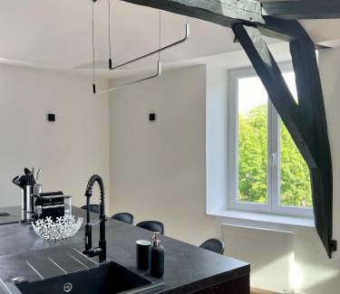 Charleville-Mezieres Apartment | Suite Izambard - 4pers