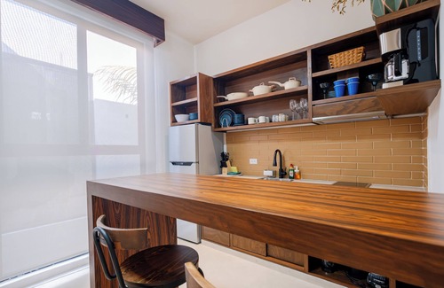 Colonia Centro Apartment | Suite Tropical N11 Downtown