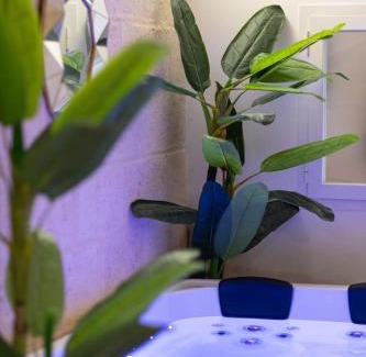 Santa Maria Bed & Breakfast | Suite16 & spa