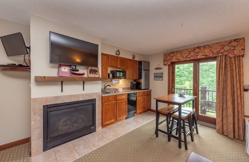 Thayerville Apartment | Suites at Silver Tree A213: Studio Suite with Lake View, Sleeps 4, Cozy Fireplac