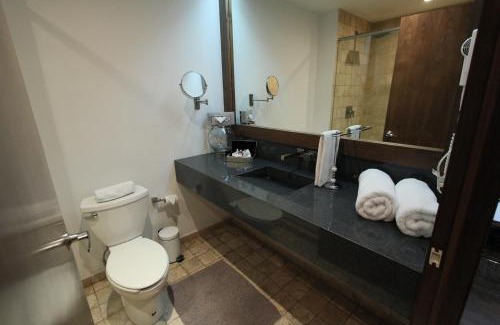 Colonia Cuauhtemoc Apartment | Suites Del Ángel