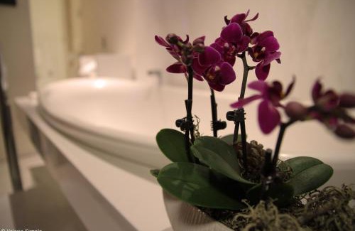 Rione IV Campo Marzio Bed & Breakfast | SuiteSistina for Brave Lovers