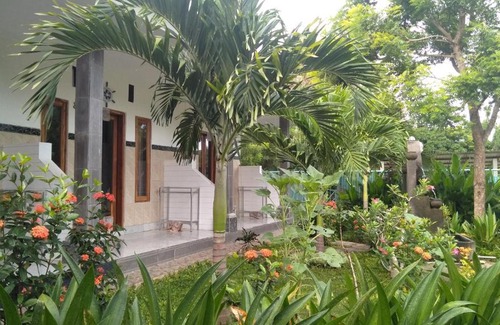 Mushroom Bay House | Suka Guest House