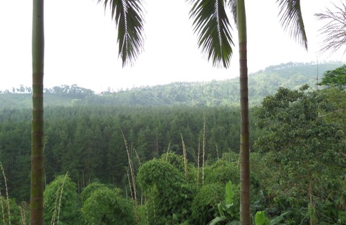 Sukapura Hotel | Sukapura Permai Hotel