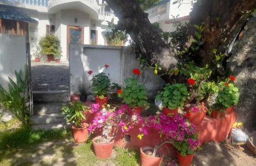 Bullawala House | Sukoon.Homestay