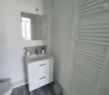 Sully-sur-Loire Apartment | Sully sur Loire : appartement centre ville
