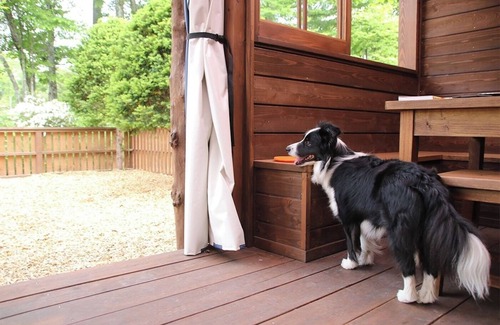 Kita Karuizawa RV Rental | Summer 719831 14 Dog Run Cottage Woof/Agatsuma County Gunma