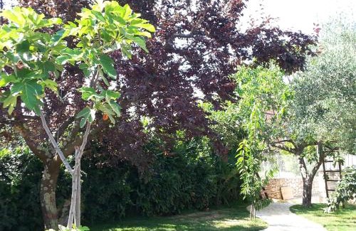 Savudrija Apartment | Summer Delight Apartments