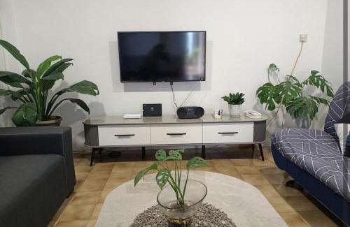 Sibu House | Summer Homestay@civic centre