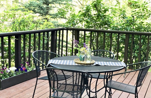 Oak Creek House | Summer Mountain Escape + Short Drive to Steamboat! 🏔🎣🛶