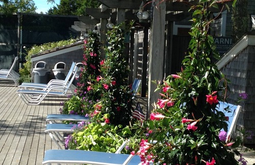 Nantucket Town House | SUMMER SALE Lovely 3 bedroom home-enjoy the pool and tennis courts!