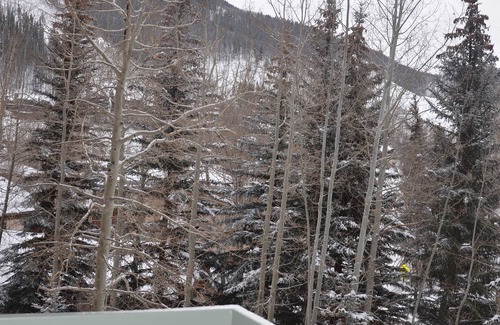 Vail Condo | Summer Specials! - Little Known Gem In Vail; Platinum Rated; Ski-In/Out Chair 20