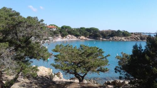 Cala Liberotto Apartment | Summer Time