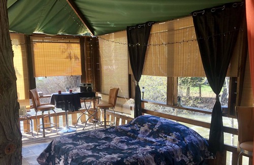 Libby Cabin | Summer Treehouse and Cabins!