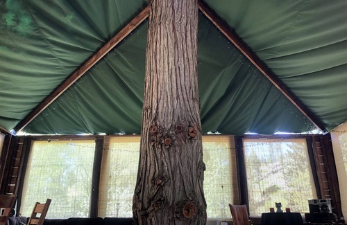 Libby Cabin | Summer Treehouse and Cabins!