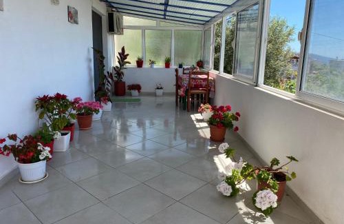 Lukove Apartment | Summerland Lukovë