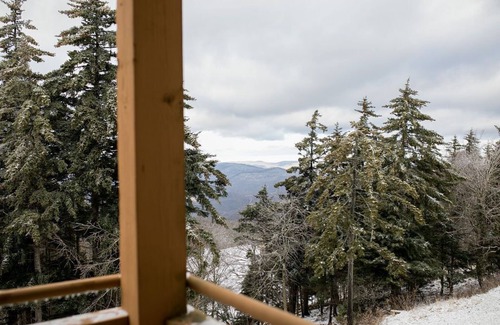 Snowshoe Condo | Summit 204D at Snowshoe